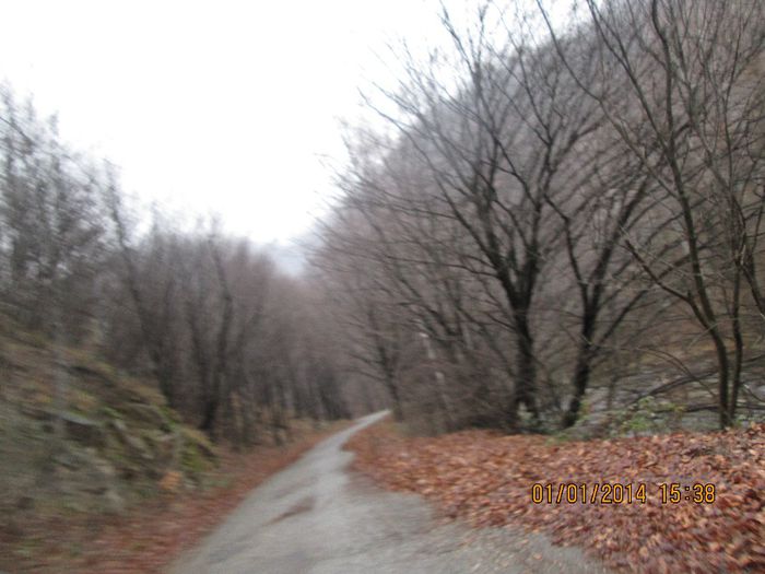 IMG_2010