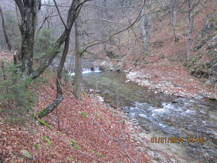 IMG_2044 - Pe Valea Sohodolului in ianuarie