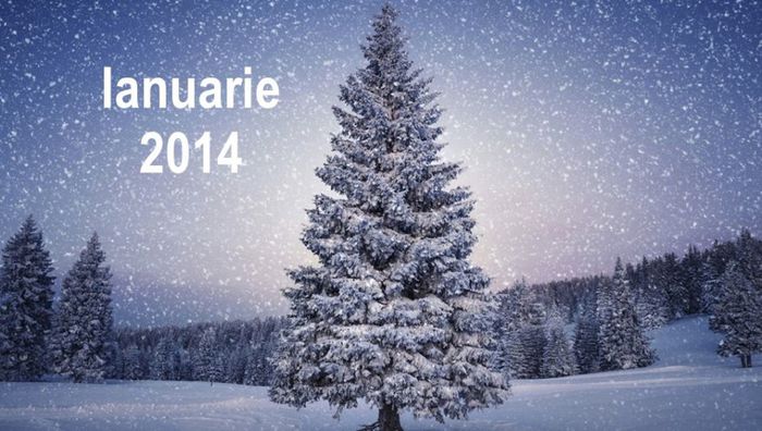 brad - IANUARIE 2014