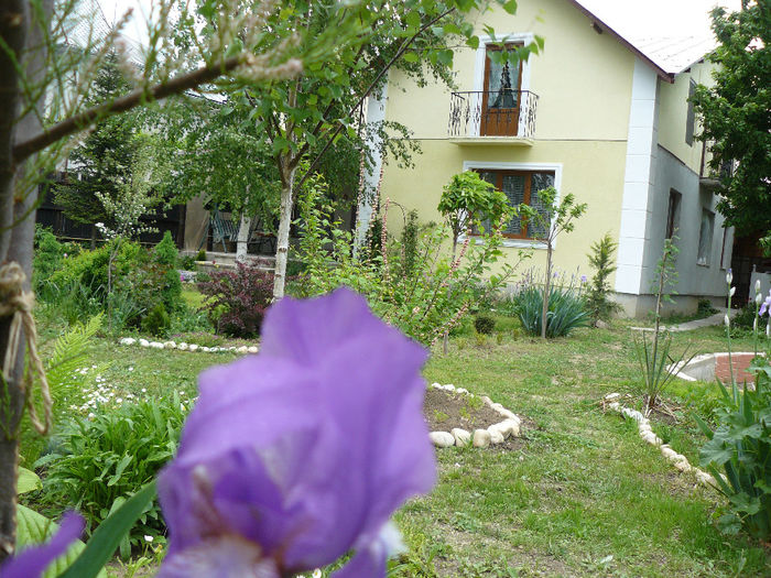 2013 - wGradina verde 2013