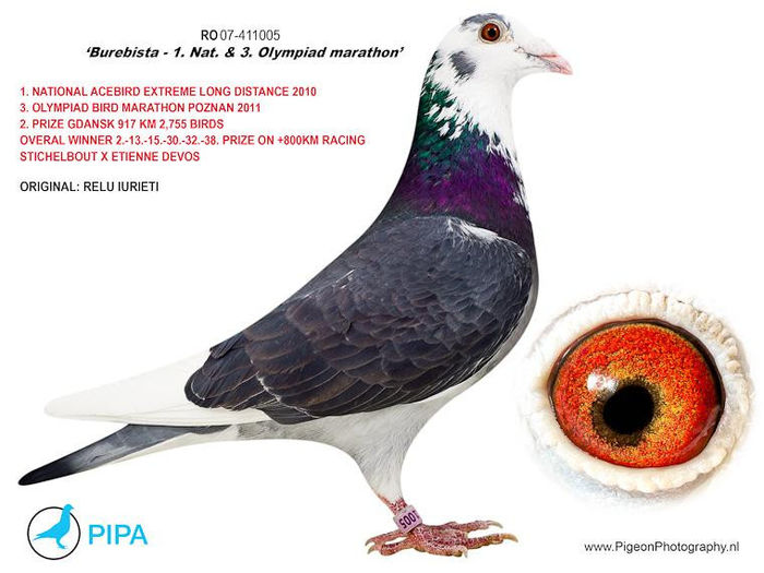 Relu-Iureti-RO-411005-2007-Burebista