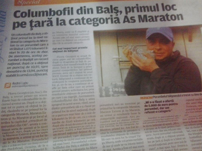 ASU - POZE CAMPION NATIONAL 2013 AS MARATON