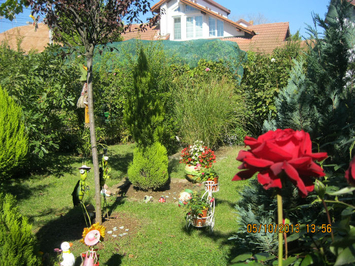 IMG_7063 - Gradina mea TOAMNA