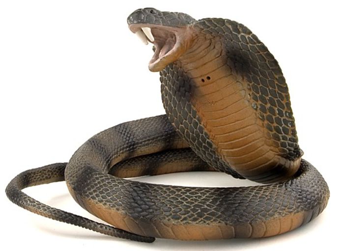 Black mambas 8 - Cobra