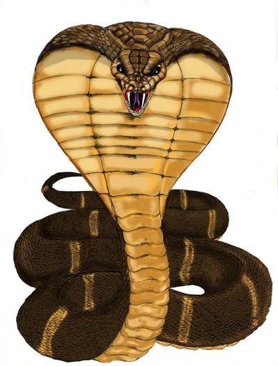 King_Cobra_by_completeartist - Cobra