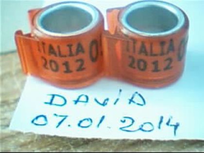 Italia-2012 - Inele Colectie-dubluri