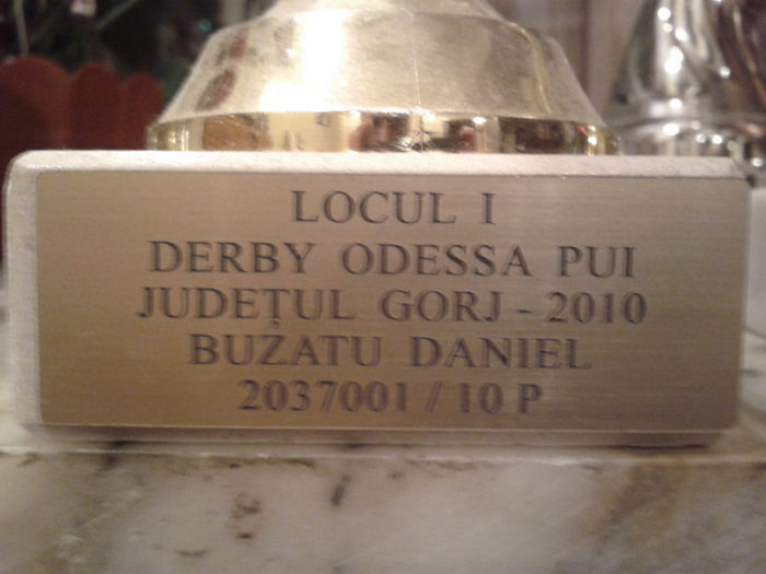 LOC.1-DERBY ODESSA PUI.2010=600.Km. - CUPE si MEDALII