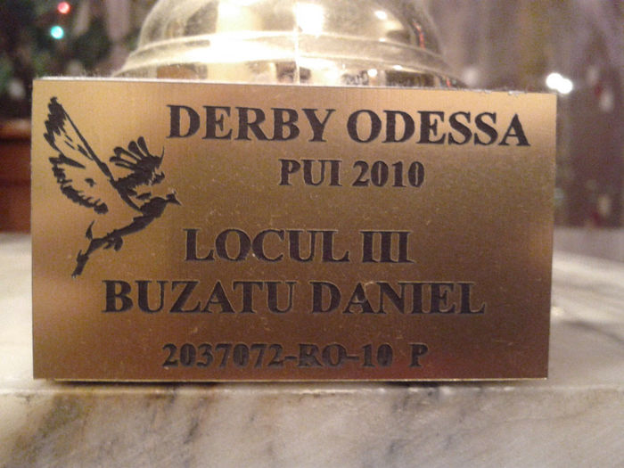 CUPA -DERBY ODESSA PUI - CUPE si MEDALII