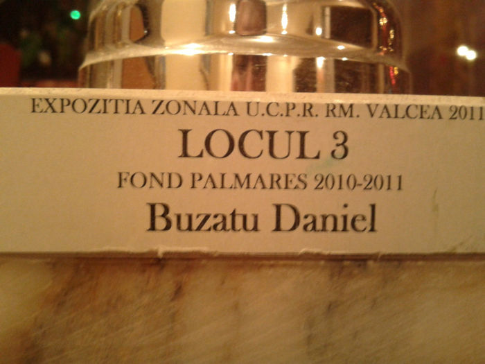 CUPA PALM.FOND-OLTENIA-2011