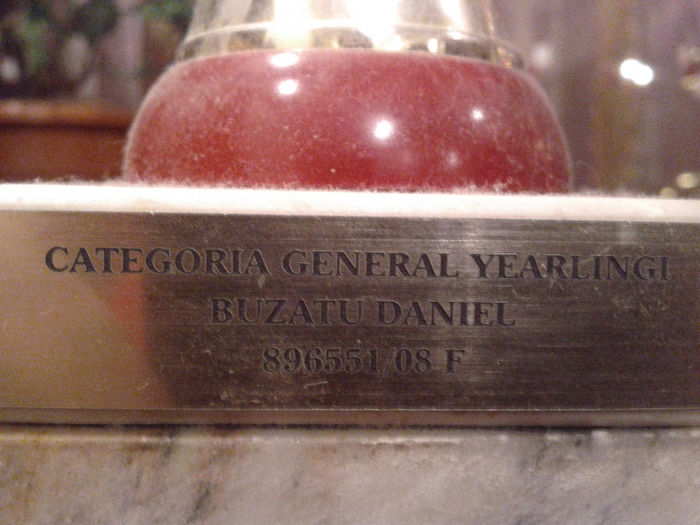 CUPA - GENERAL-,,ZANA"; GENERAL Y. V-896551-08 ,,ZANA"
