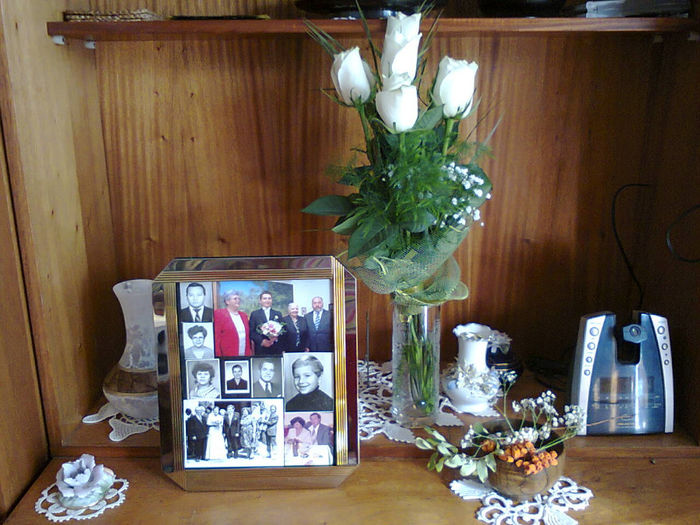 montaj foto 011 - Familia Prisacaru