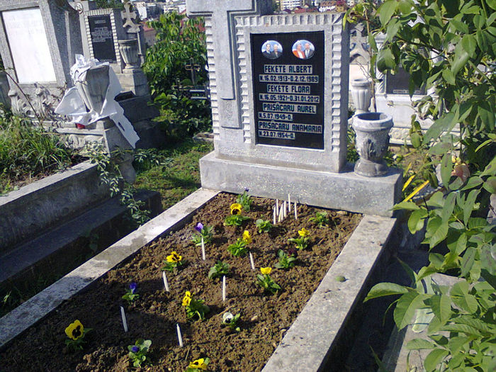 Poze 16 sept 2013 023