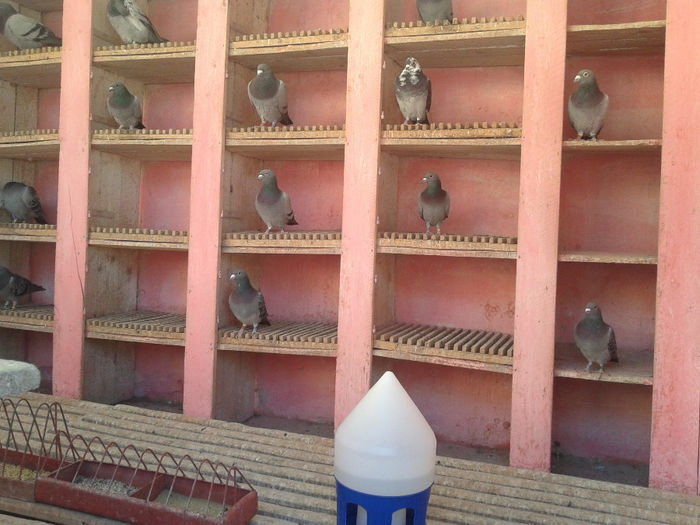 INTERIOR ZB.in 2010"