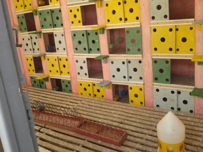 INTERIOR. COMP.ZBURATORI 2013