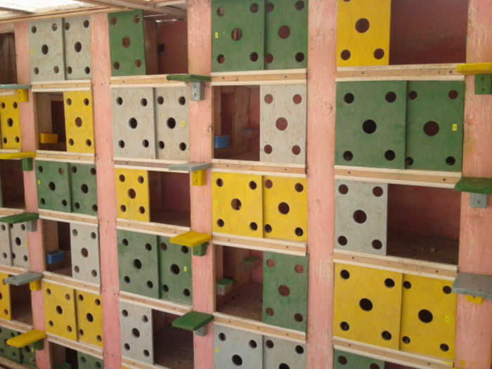 INTERIOR. COMP.ZBURATORI 2013