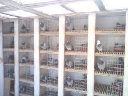 INTERIOR ZB.in 2010"