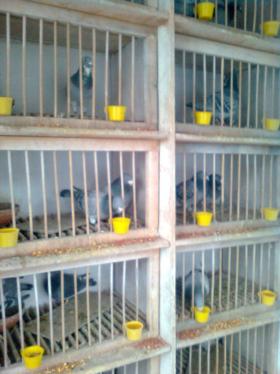 INTERIOR COMP. MATCA 2010