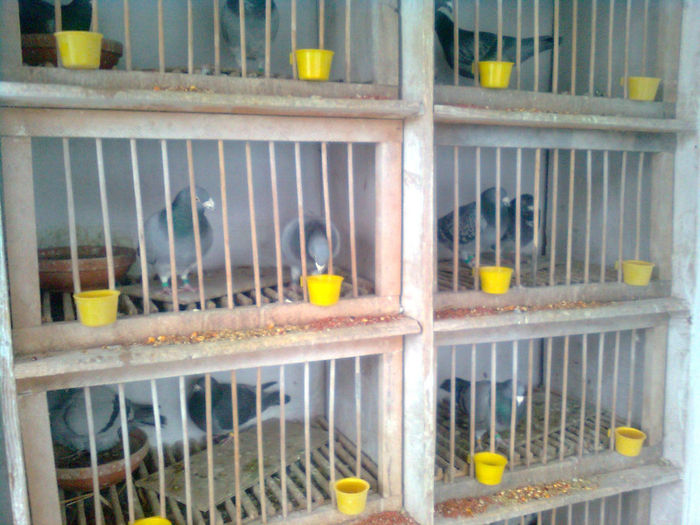 INTERIOR COMP. MATCA 2010