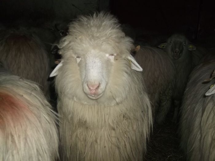 Picture 127 - 0000 Carlane 2O14