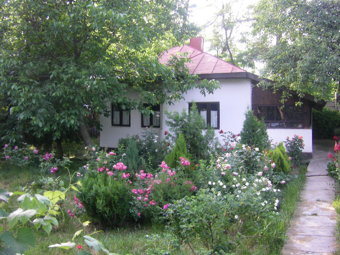 Picture 006 - casa de vacanta-trandafiri 2010