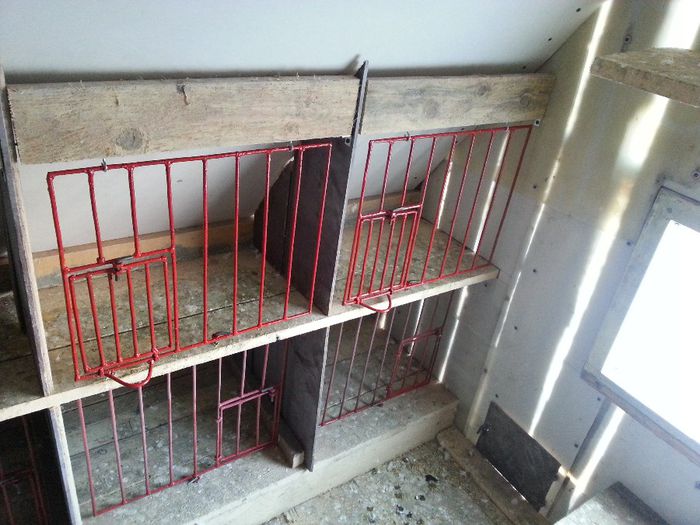 20140102_133048 - Vechea crescatorie