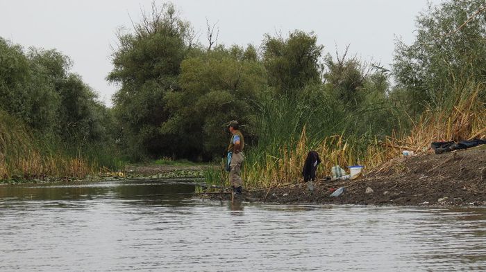 Prietenul Petrica suparat