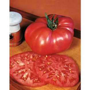 tomate ponderosa pink - ESECURI GERMINARI SEMINTE