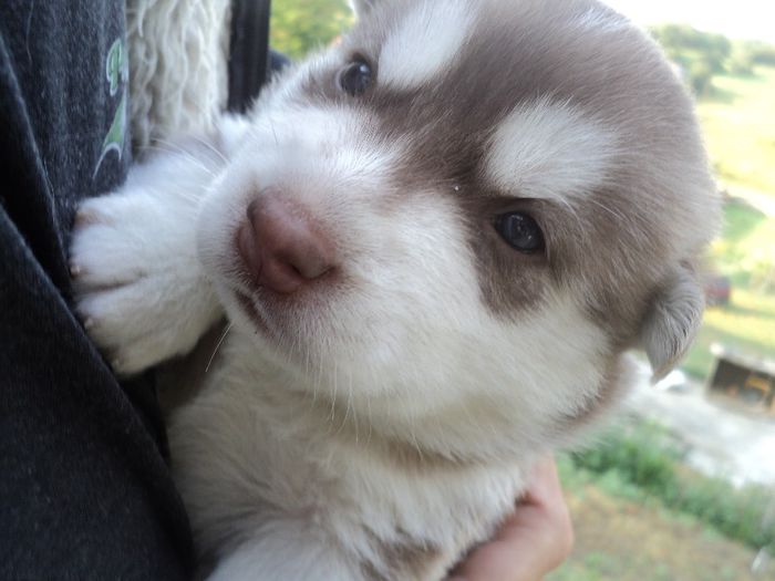 DSC02351; din seria 2013
