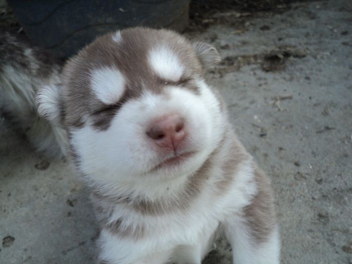 DSC02348; din seria 2013
