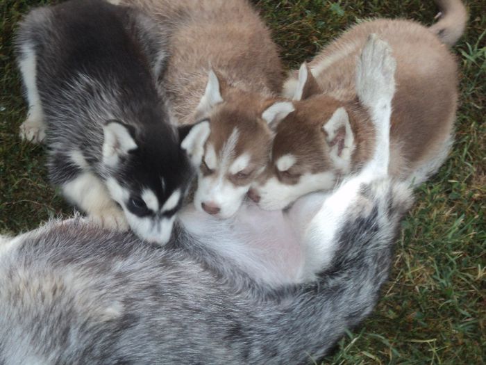 DSC02451; din seria 2013
