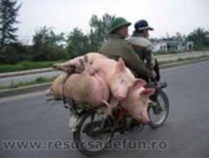 IN DRUM SPRE TARG¡¡¡¡¡¡