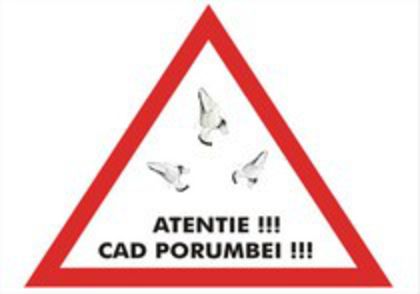 ---UN DEOSEBIT SPECTACOL IN ZBOR---