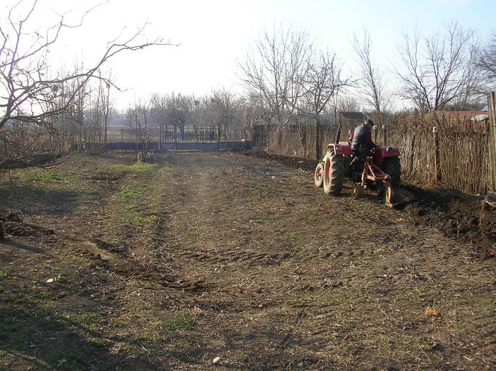 SANY0045; totul a fost anul trecut.....nu cred ca mai pot sa ma bucur de Nucet
