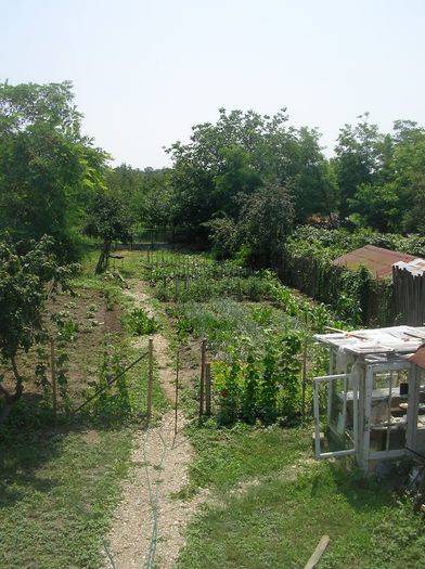 SANY0063; gradina ,privita de sus ....
