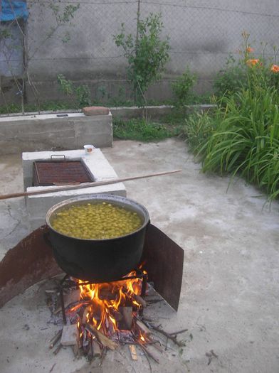 SANY0008; bulion de corcoduse...
