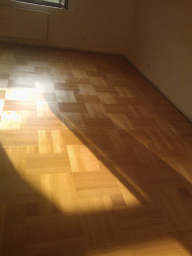 WP_001451