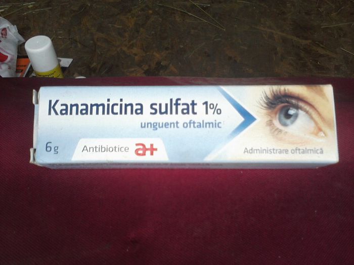 unguient pentru ochi