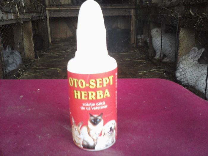 pentru coji in urechi(raie auriculara)