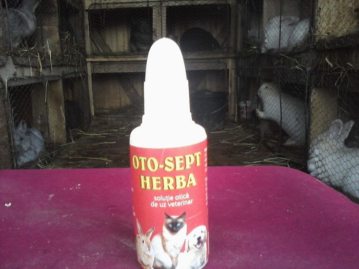 dupa parerea mea cel mai bun