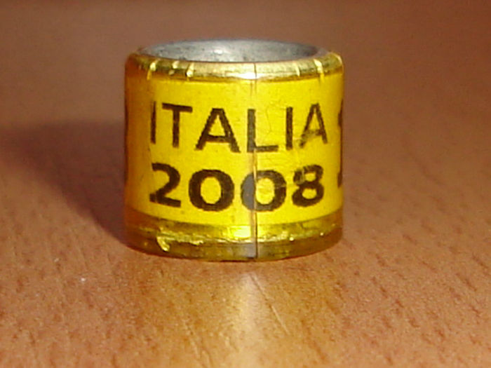 Italia 2008