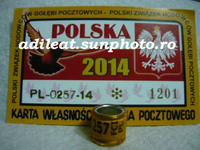 POLONIA-2014 - POLONIA-PL-ring collection