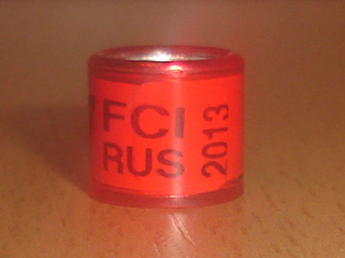 Rus 2013 FCI - RUSIA
