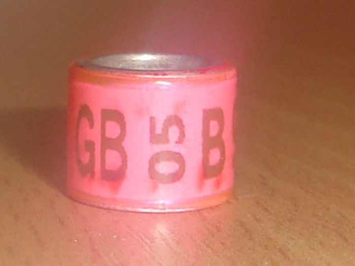 GB 2005 B