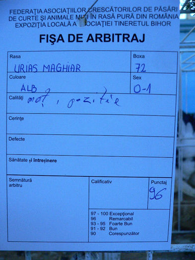 expo oradea 102 - 2Expo Oradea 2013