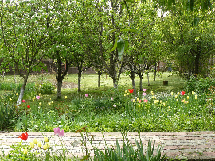 2011 - wGradina de altadata 2007_2011