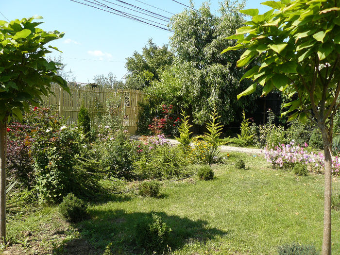 Pacla verii_2013; Gradina ar avea nevoie de umbra !
