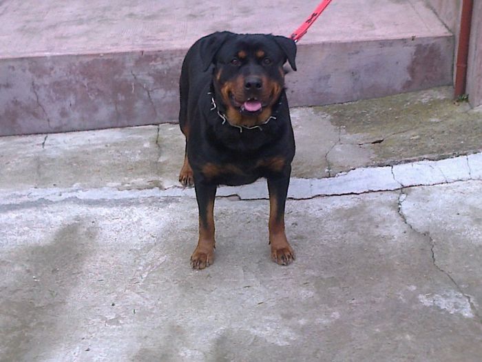 HERRA