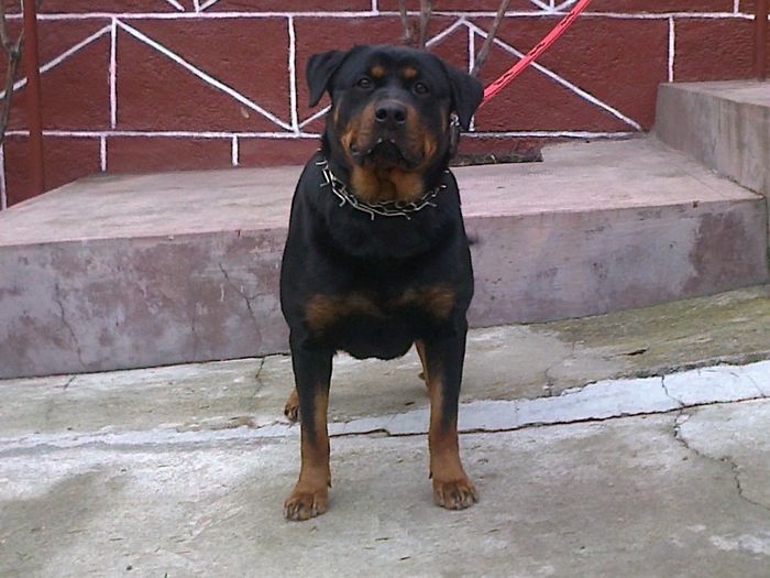 HERRA