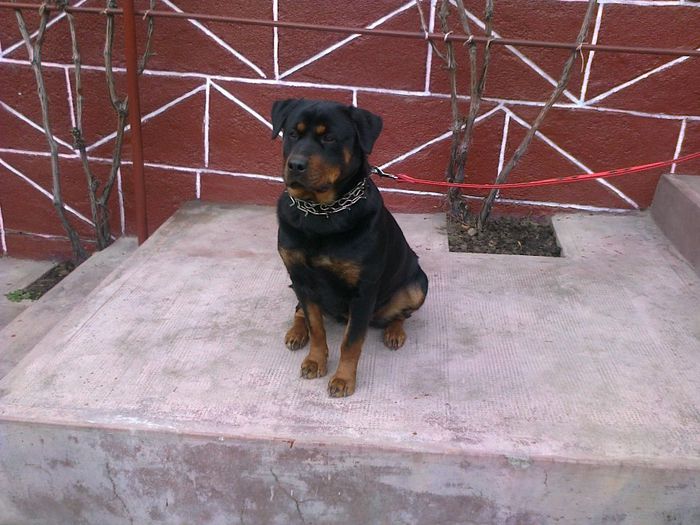 HERRA