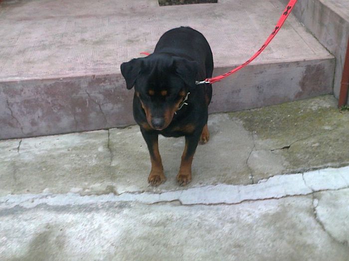 HERRA